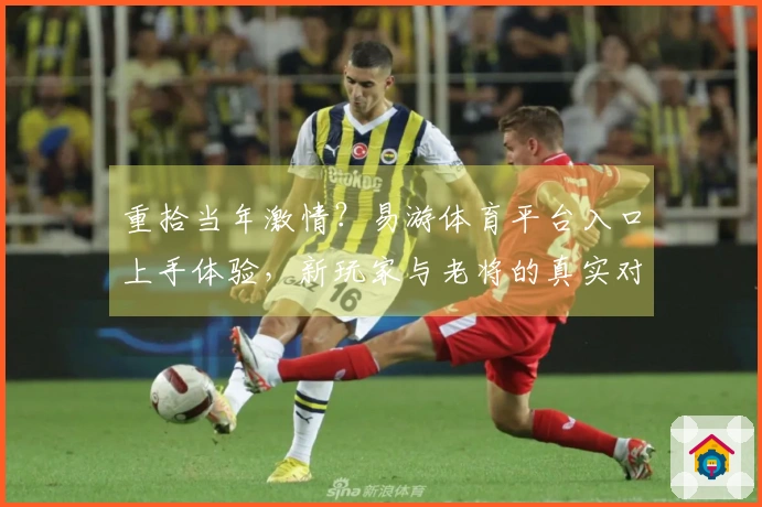 重拾当年激情？易游体育平台入口上手体验，新玩家与老将的真实对比反馈