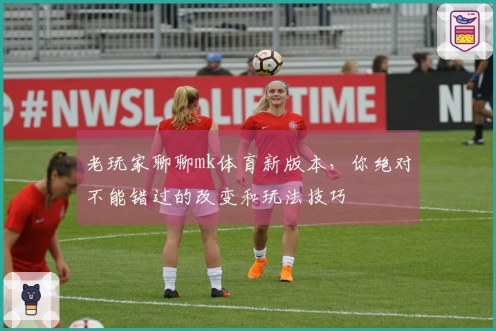 老玩家聊聊mk体育新版本，你绝对不能错过的改变和玩法技巧